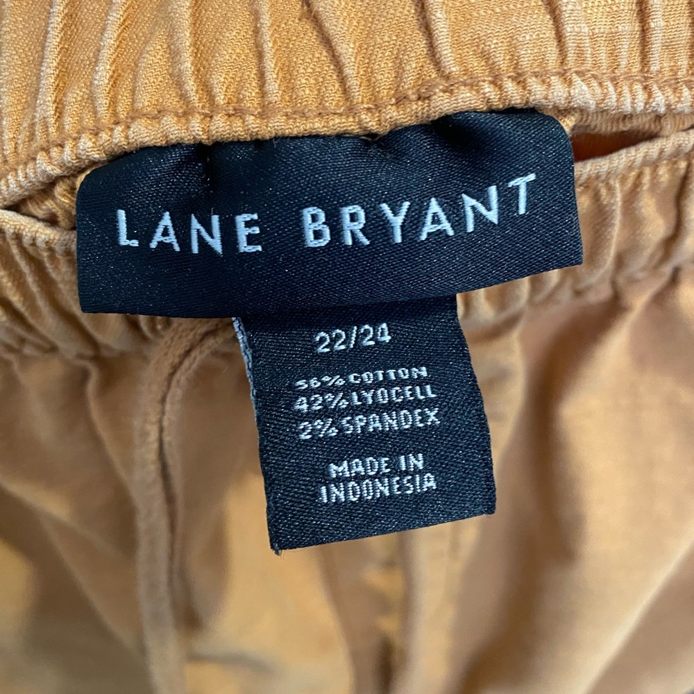 Lane Bryant Burnt Orange Drawstring Rolled Hem Capri Pants size 22/24 - Picture 8 of 8
